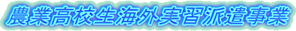_ƍZCOKh