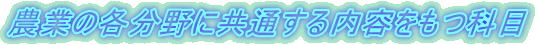 _Ƃ̊eɋʂeȖ