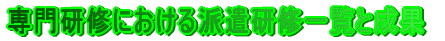 ��匤�C�ɂ�����h�����C�ꗗ�Ɛ���